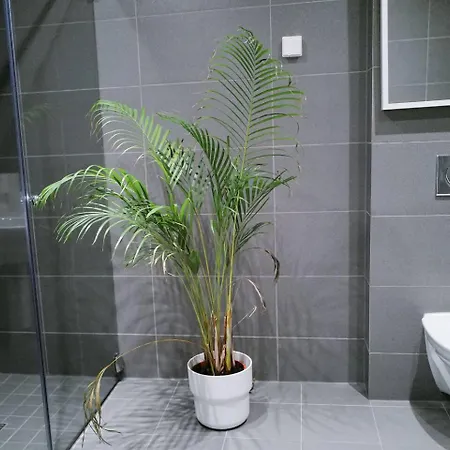 Praktfull Med Spektakuler Utsikt Дом отдыха *
